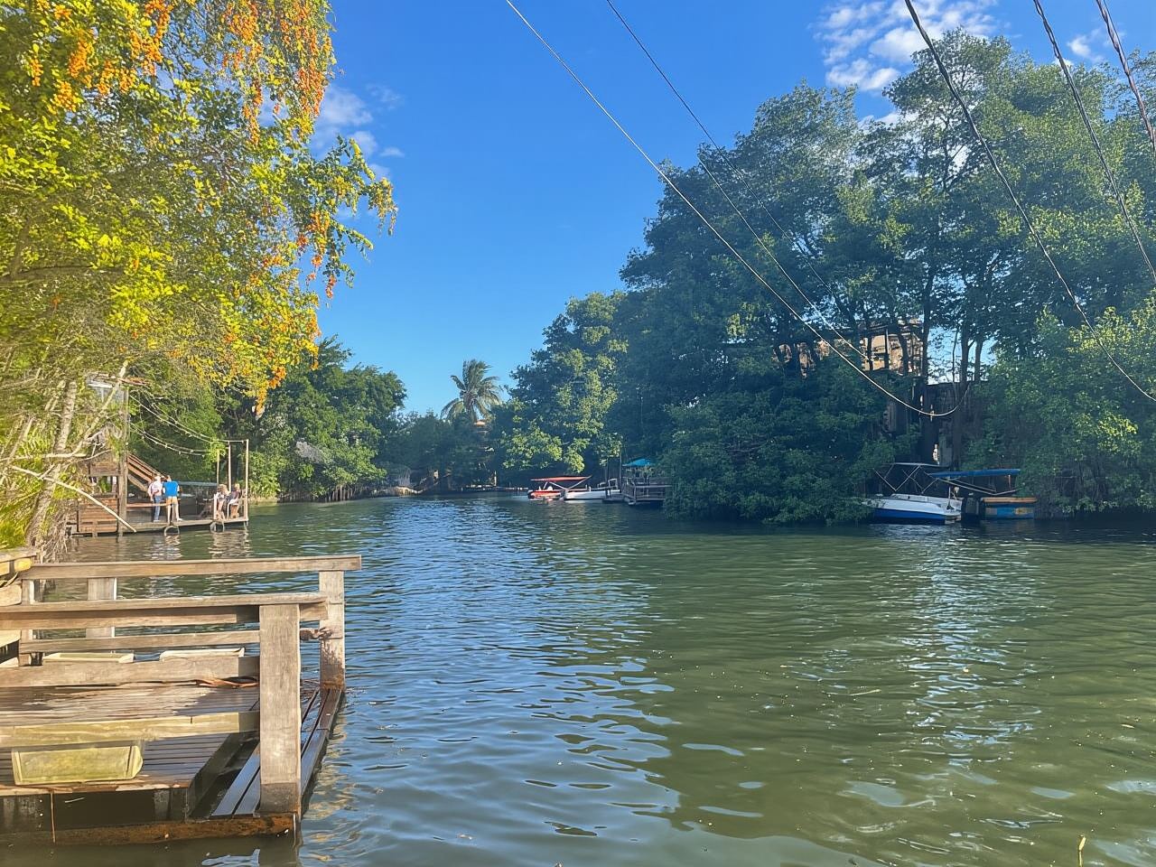 Explorez Ilha da Gigoia : une aventure insulaire