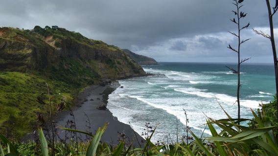 Auckland to Mount Eden and Piha Beach - Encounter the West Coast with customizable private charter for North and South Islands