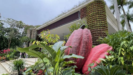 【興隆熱帶植物園手作奇趣之旅】手工巧克力+雨林調香師香水製作+探秘熱帶雨林+手工香囊製作體驗