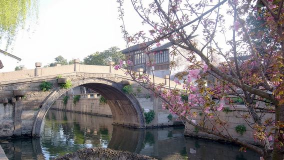 蘇州拙政園+留園+虎丘+平江路一日遊【包車+英文導遊含門票】