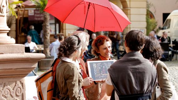 Freiburg: Stadtrundfahrt mit Dombesuch