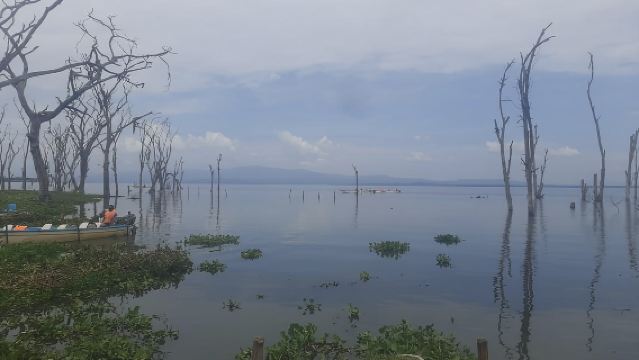 Naivasha: Lake Naivasha & Hell's Gate National Park