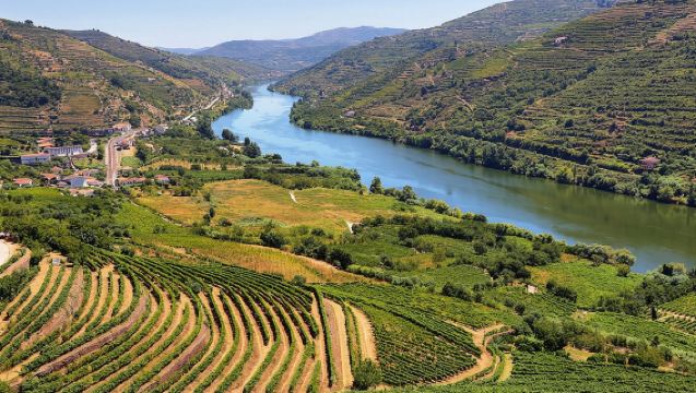 ทัวร์ไวน์ชมวิวหุบเขาดูโร่ครึ่งวันพร้อมเยือนอามารันเต