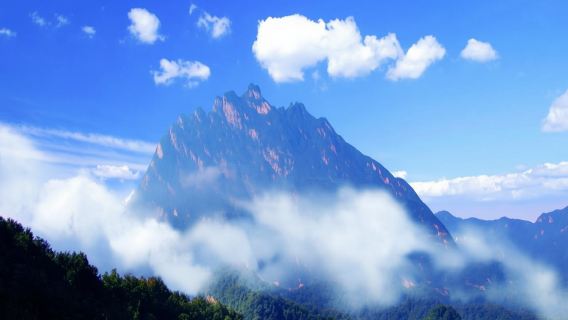 LuoyangTours