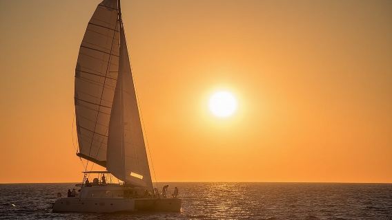 Luxury Small-Group Catamaran Cruise with BBQ, Open bar & Transfer