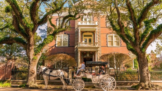 Private Daytime Horse-Drawn Carriage Tour of Charleston