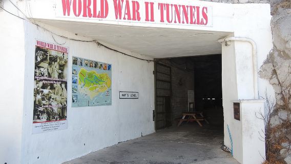 เที่ยวชมยิบรอลตาร์: ทัวร์ร็อคคลาสสิกพร้อมอุโมงค์สมัยสงครามโลกครั้งที่ 2 (ส่วนตัว)