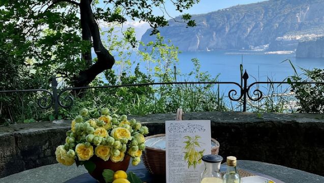 Guided tour of the lemon grove Il Pizzo Garden with tasting