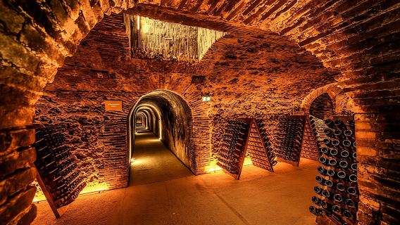Cellar visit at Boizel Champagne House and Joyau de France tasting
