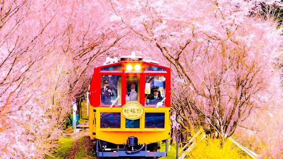 Kyoto Sanzen-in, Arashiyama and Bamboo Grove Full Day Tour