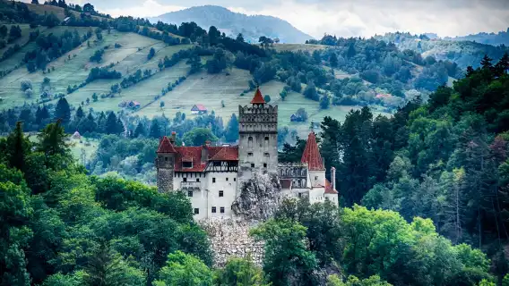 Bucharest, Romania 1-day tour to Bran Castle + Peleș Castle (Dracula's Castle)