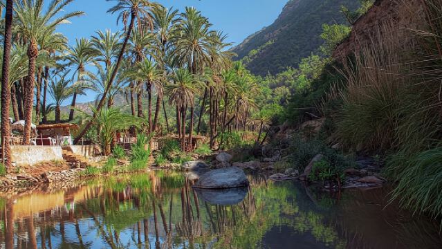 Visite économique d'une demi-journée de la Vallée du Paradis au départ d'Agadir et Taghazout