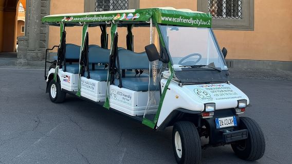 Pisa: Beyond the Tower (1h round-trip tour)