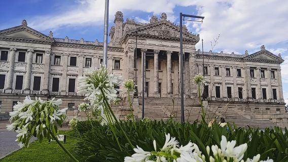 Lawatan Peribadi di Montevideo dengan Tempatan – Lawatan Jantung Bandar