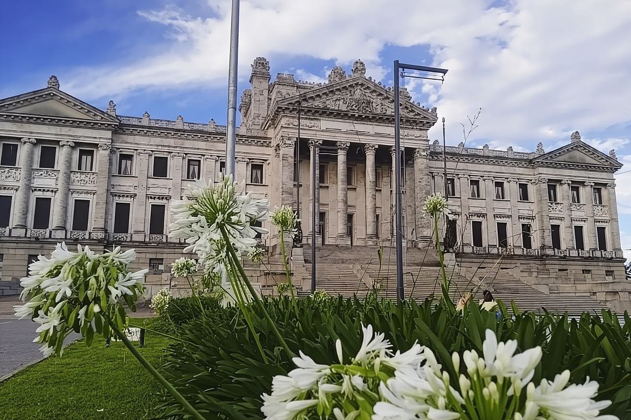 Tour privato a Montevideo con una persona del posto – Personalizza con i componenti aggiuntivi