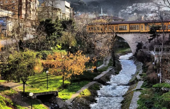 布尔萨每日缆车之旅,从伊斯坦布尔出发,含餐食和接送服务