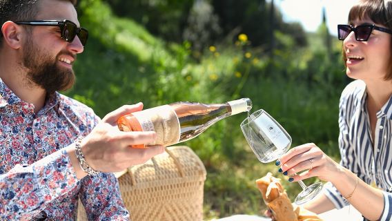 Tour through the vineyards and wine and olive oil tasting in Tuscany