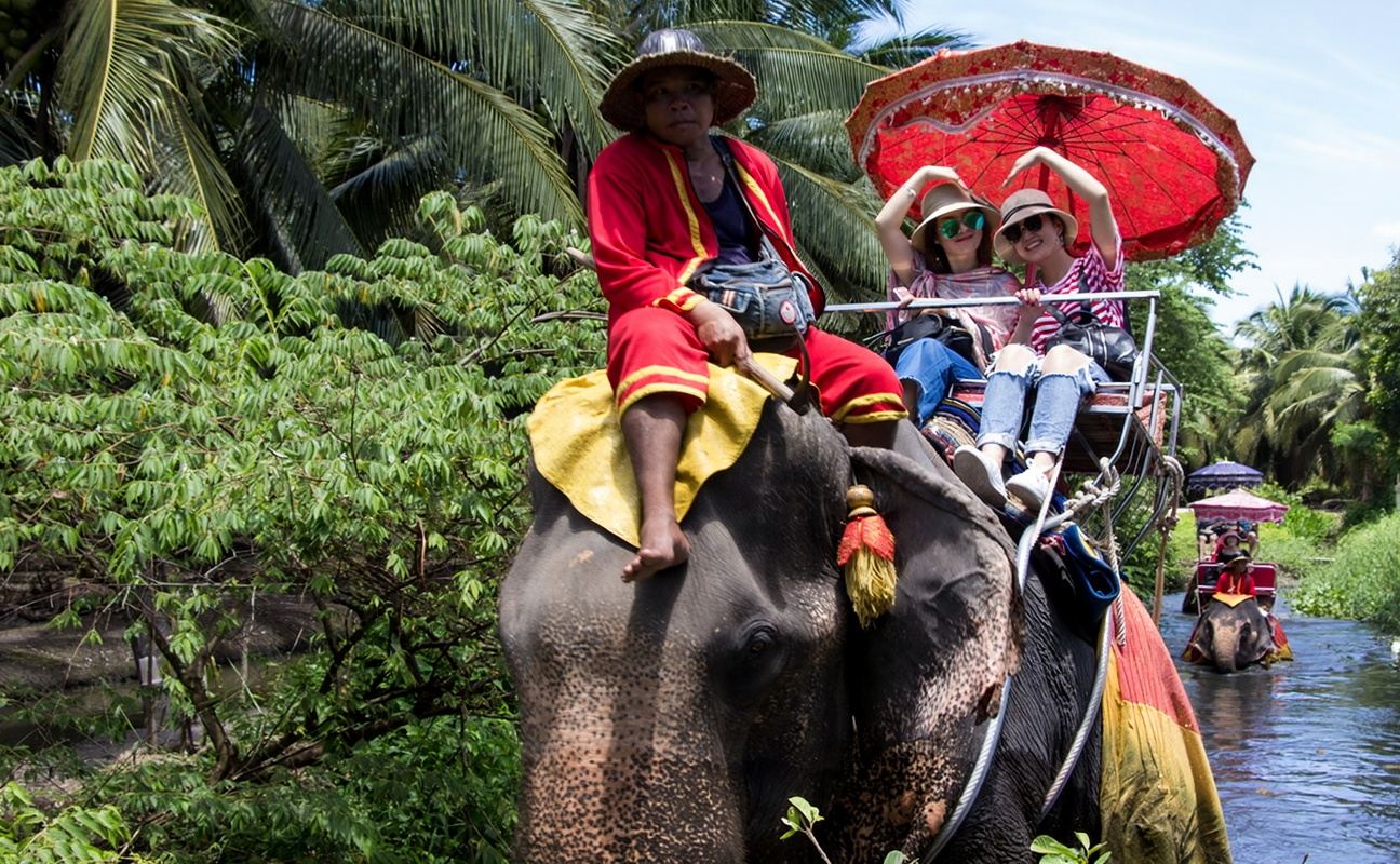 タイ・バンコク｜本格的な象乗り体験 + ダムヌンサドゥアック水上マーケット半日観光｜午前出発・日本語ガイド付き