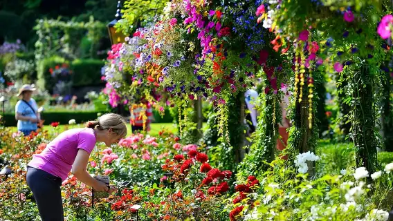 Victoria & Butchart Gardens Tour with Ferry from Vancouver 