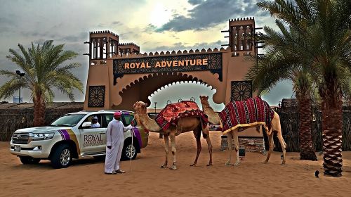 Evening Desert Safari:- Adventure Rides, Live Entertainment , BBQ Buffet & More Day Tours 4