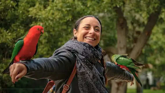 Great Ocean Road Small-Group Eco Tour from Melbourne