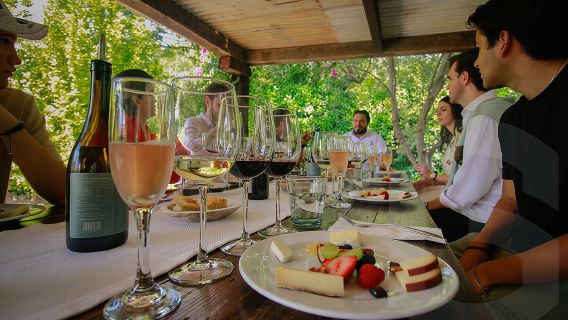 Tour privado por viñedos y degustación de vinos desde Guanajuato