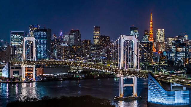 Tokyo Private Customizable Tour with English Speaking Chauffeur