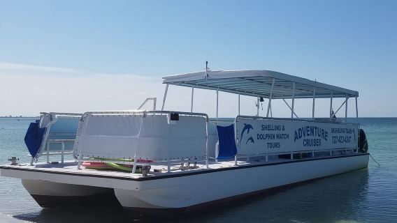 From Treasure Island: Dolphin Watching and Shelling Cruise