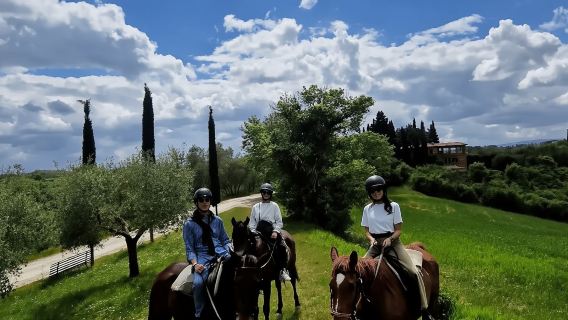 Toscana: paseos a caballo por la campiña toscana