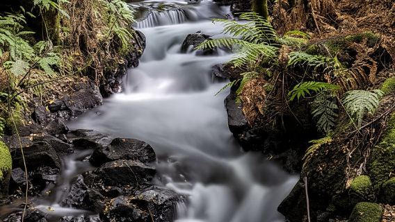 Rotorua: el pueblo enterrado de Te Wairoa