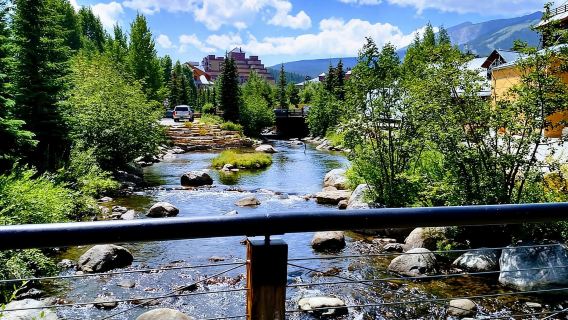 Ab Denver: Breckenridge & Continental Divide Explorer