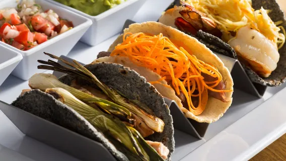 Cabo: crociera di lusso con snorkeling in yacht, pranzo e open bar