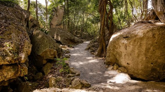 Capricorn Caves, Australia: tour di 45 minuti della Cathedral Cave