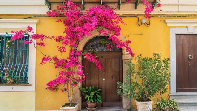 Da Napoli: Traghetto per Sorrento e Capri