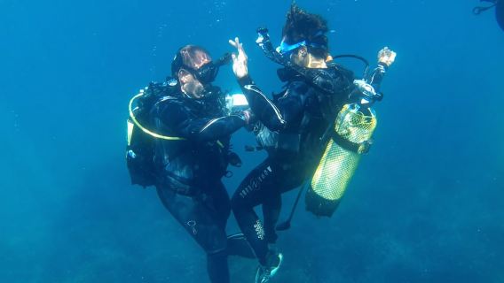 Alicante: Experiencia de buceo para principiantes en Denia