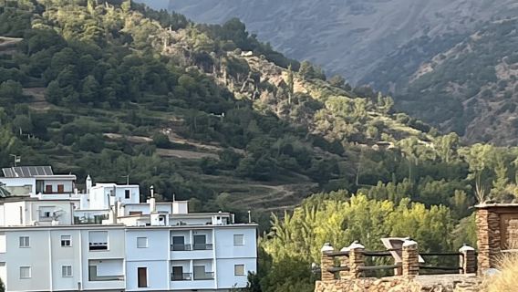 From Nerja/Almunecar: Sierra Nevada and Alpujarra day trip