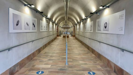 Lago Maggiore: biglietto per l'Eremo di Santa Caterina del Sasso