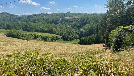 Fiat 500 Guided Tour on the Hills of Bologna