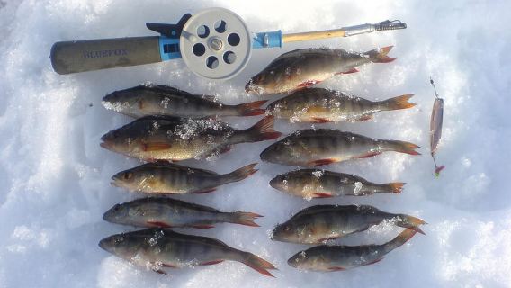 Ice-Fishing by Foot on Lake Ylläsjärvi