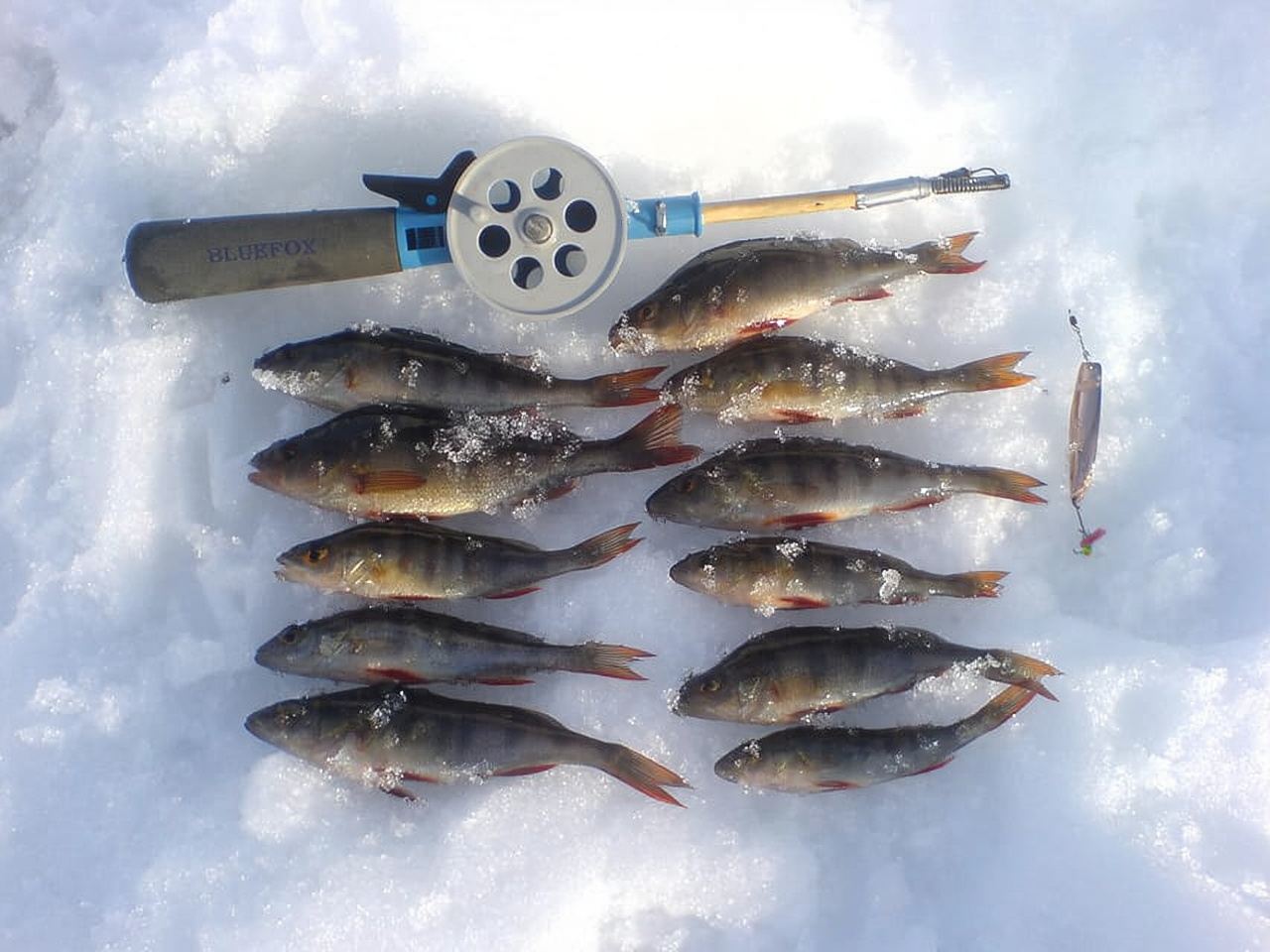 Ice-Fishing by Foot on Lake Ylläsjärvi