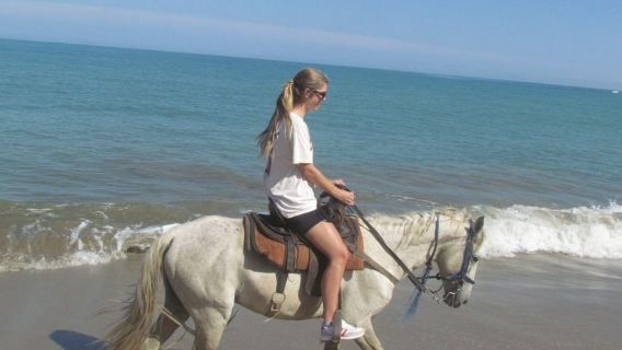 Puerto Plata: Horseback Riding Tour