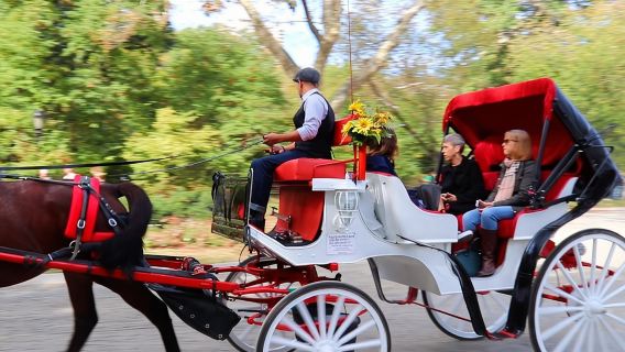 NYC Central Park Horse Carriage Ride (Up to 4 Adults)