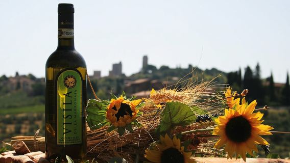 Private Tuscan meal with Wine and EVO oil tasting