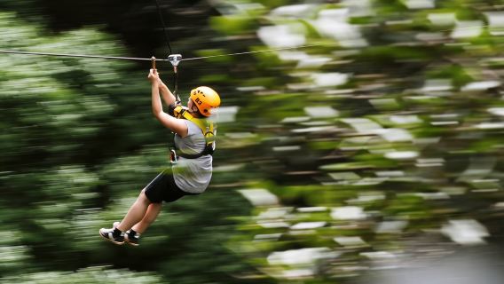 チェンマイ ジャングル フライト ジャングル イルミネーション|ジャングル ジップライン【超長距離ジップライン|ローラーコースター|スリリングなスピード体験|市内送迎付き】