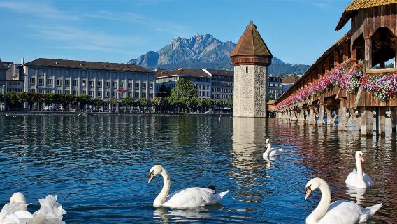 Lucerne, Switzerland City Exploration & Yacht Cruise (Departing from Zurich) 13697