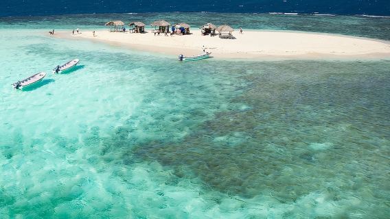 Tour di Paradise Island e delle mangrovie