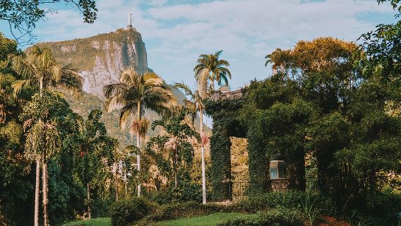 Rio de Janeiro Botanical Garden & Tijuca Forest Tour