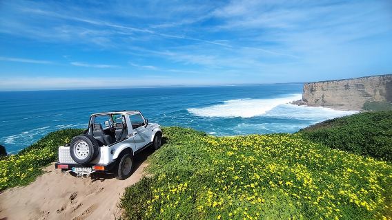Tour safari privato a Capo Espichel e alle spiagge selvagge della costa occidentale
