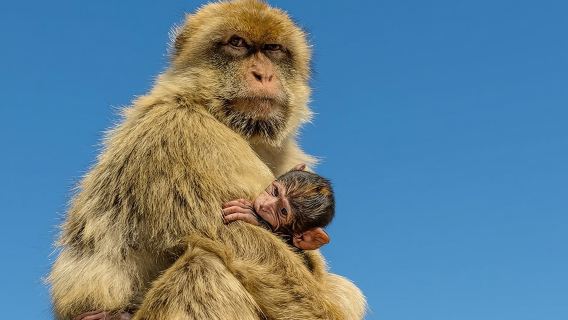 SHORE EXCURSION 3.30hrs Half Day Tour