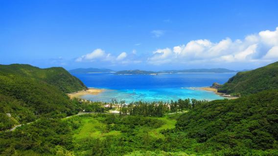 渡嘉敷島日帰りツアー【夏季限定 臨時船|阿波連ビーチ海水浴+シュノーケリングオプション】